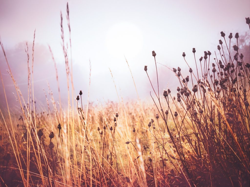 Woot End of Summer Blowout