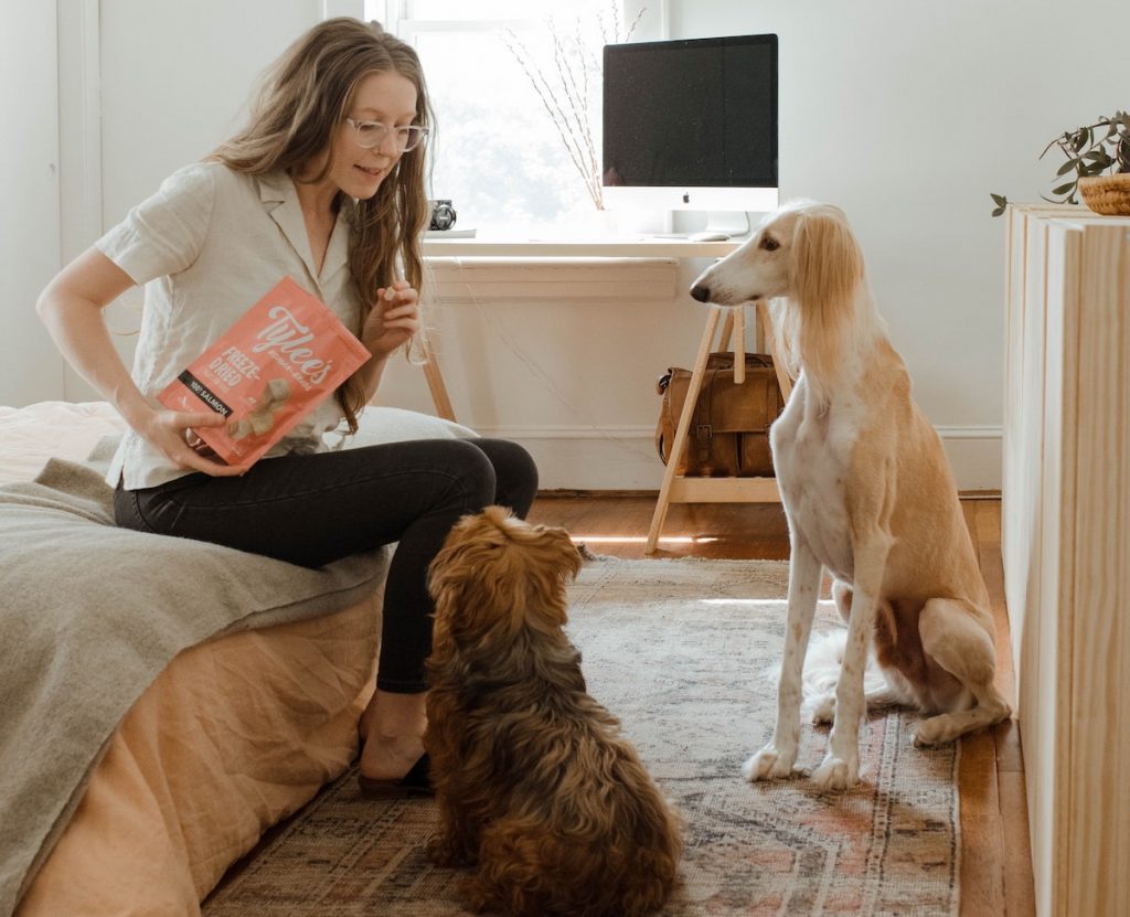 FREE Dog Training Books